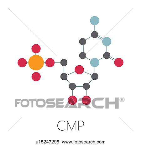 Cytidine monophosphate RNA molecule, illustration View Large Photo Image Stock Photography - Cytidine monophosphate RNA molecule, illustration. Fotosearch