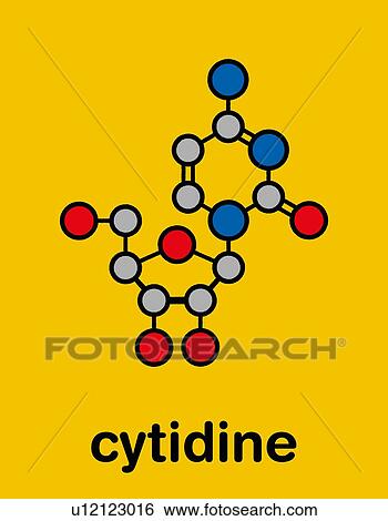 Stock Photograph - Cytidine RNA building block molecule, illustration. Fotosearch