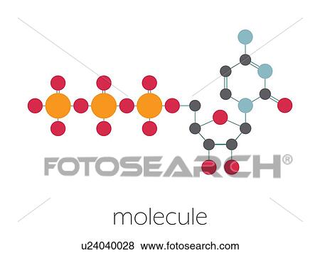 Cytidine triphosphate RNA molecule, illustration View Large Photo Image Stock Photo - Cytidine triphosphate RNA molecule, illustration. Fotosearch
