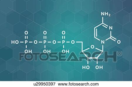 Cytidine triphosphate RNA molecule, illustration View Large Photo Image Stock Photo - Cytidine triphosphate RNA molecule, illustration. Fotosearch