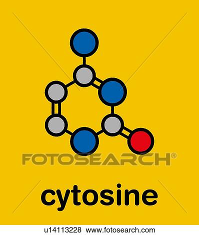 Cytosine pyrimidine nucleobase component, illustration View Large Photo Image Stock Photo - Cytosine pyrimidine nucleobase component, illustration. Fotosearch