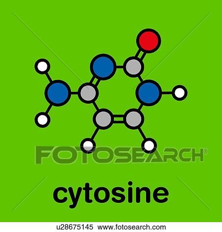Stock Photography - Cytosine pyrimidine nucleobase component, illustration. Fotosearch