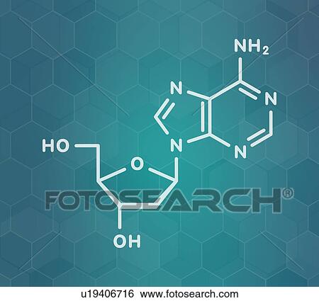 Stock Photograph - Deoxyadenosine nucleoside molecule, illustration. Fotosearch