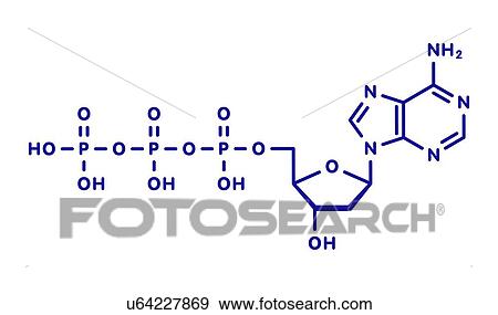 Deoxyadenosine triphosphate nucleotide molecule View Large Photo Image Stock Photo - Deoxyadenosine triphosphate nucleotide molecule. Fotosearch