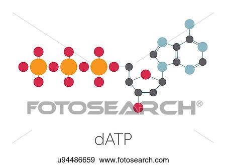 Deoxyadenosine triphosphate nucleotide molecule View Large Photo Image Stock Photo - Deoxyadenosine triphosphate nucleotide molecule. Fotosearch