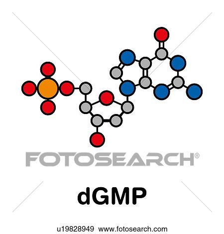 Deoxyguanosine monophosphate nucleotide molecule View Large Photo Image Stock Photo - Deoxyguanosine monophosphate nucleotide molecule. Fotosearch
