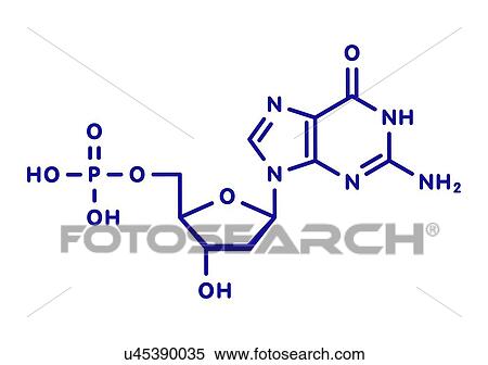 Stock Photography - Deoxyguanosine monophosphate nucleotide molecule. Fotosearch