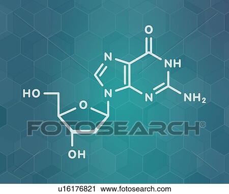 Stock Image - Deoxyguanosine nucleoside molecule, illustration. Fotosearch