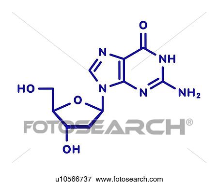 Deoxyguanosine nucleoside molecule, illustration View Large Photo Image Stock Photo - Deoxyguanosine nucleoside molecule, illustration. Fotosearch