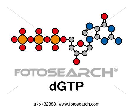 Deoxyguanosine triphosphate nucleotide molecule View Large Photo Image Stock Image - Deoxyguanosine triphosphate nucleotide molecule. Fotosearch