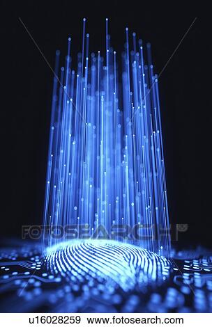 Digital fingerprint, conceptual illustration View Large Photo Image Stock Photo - Digital fingerprint, conceptual illustration. Fotosearch