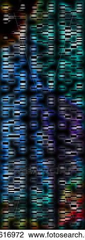 Stock Image - DNA autoradiograph, illustration. Fotosearch