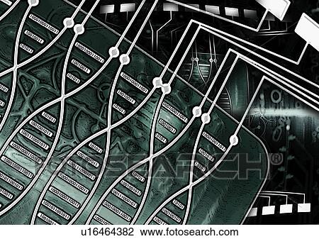 Stock Image - DNA computing, conceptual illustration. Fotosearch