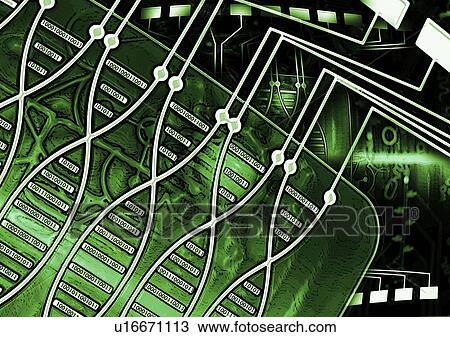 DNA computing, conceptual illustration View Large Photo Image Stock Image - DNA computing, conceptual illustration. Fotosearch