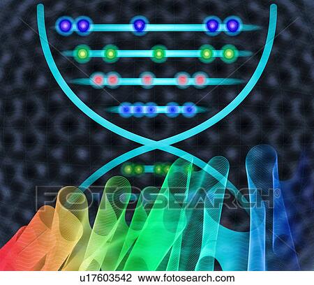 DNA computing, conceptual illustration View Large Photo Image Stock Image - DNA computing, conceptual illustration. Fotosearch
