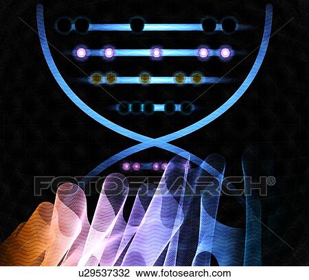 DNA computing, conceptual illustration View Large Photo Image Stock Image - DNA computing, conceptual illustration. Fotosearch