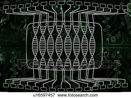 Stock Photo - DNA computing, conceptual illustration. Fotosearch