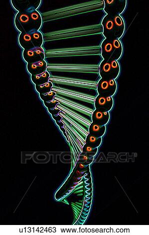 DNA, conceptual illustration View Large Photo Image Stock Image - DNA, conceptual illustration. Fotosearch