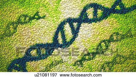 Stock Photo - DNA, conceptual illustration. Fotosearch