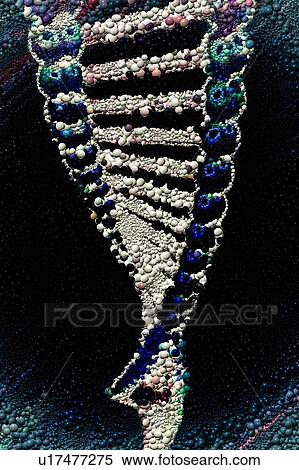 Stock Photography - DNA, conceptual illustration. Fotosearch