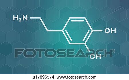 Picture - Dopamine neurotransmitter molecule, illustration. Fotosearch