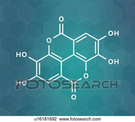Stock Image - Ellagic acid dietary supplement molecule, illustration. Fotosearch