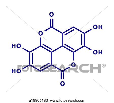 Ellagic acid dietary supplement molecule, illustration View Large Photo Image Stock Image - Ellagic acid dietary supplement molecule, illustration. Fotosearch