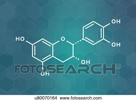 Epicatechin chocolate flavonoid molecule, illustration View Large Photo Image Picture - Epicatechin chocolate flavonoid molecule, illustration. Fotosearch