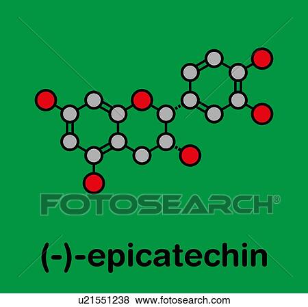Stock Photo - Epicatechin chocolate flavonoid molecule, illustration. Fotosearch