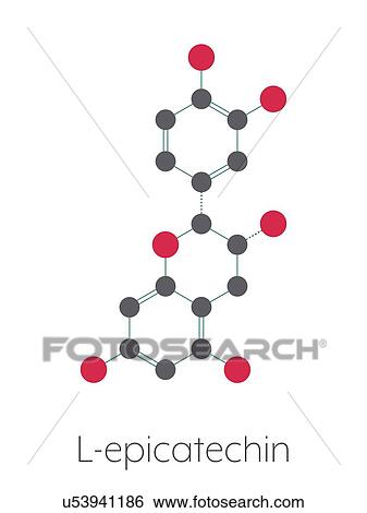 Stock Photograph - Epicatechin chocolate flavonoid molecule, illustration. Fotosearch