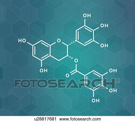 Stock Image - Epigallocatechin gallate green tea polyphenol, illustration. Fotosearch