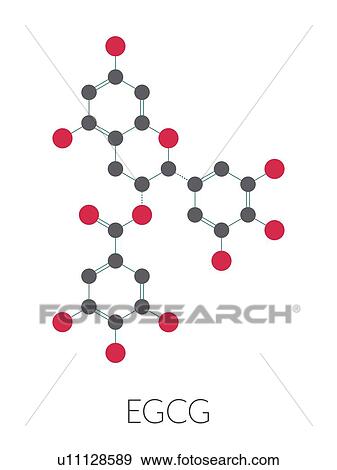 Stock Photo - Epigallocatechin gallate green tea polyphenol, illustration. Fotosearch