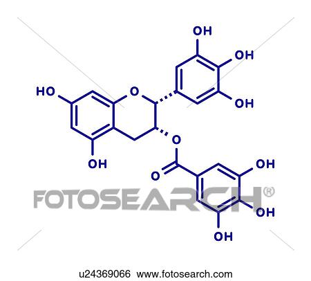 Stock Photograph - Epigallocatechin gallate green tea polyphenol, illustration. Fotosearch