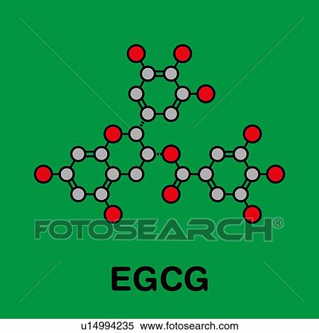 Stock Photography - Epigallocatechin gallate green tea polyphenol, illustration. Fotosearch