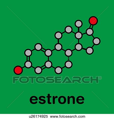 Stock Photography - Estrone human estrogen hormone molecule, illustration. Fotosearch