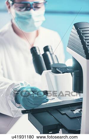 Stock Image - Examining bacterial sample under microscope. Fotosearch