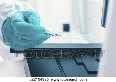 Stock Photography - Examining bacterial sample under microscope. Fotosearch