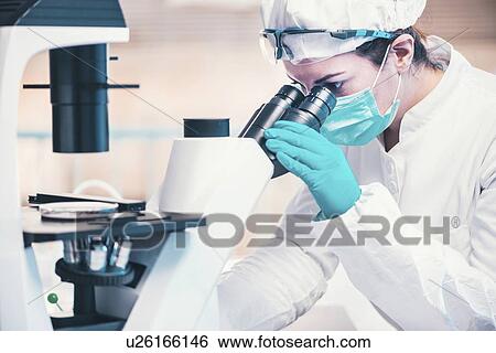 Stock Photograph - Examining petri dish under microscope. Fotosearch