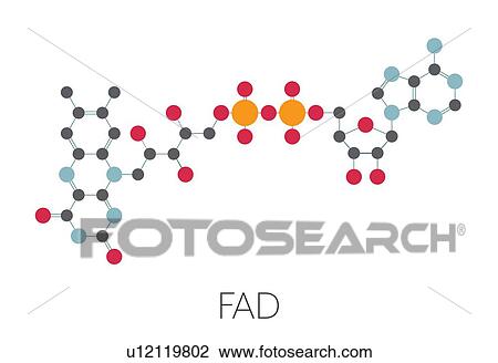 FAD redox coenzyme molecule, illustration View Large Photo Image Stock Image - FAD redox coenzyme molecule, illustration. Fotosearch