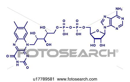 FAD redox coenzyme molecule, illustration View Large Photo Image Stock Image - FAD redox coenzyme molecule, illustration. Fotosearch