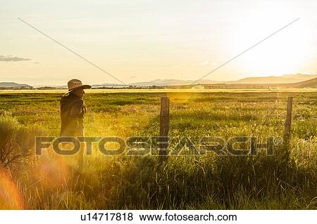 Farmer by fence at sunset in Picabo, Idaho, USA View Large Photo Image Stock Photo - Farmer by fence at sunset in Picabo, Idaho, USA. Fotosearch