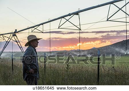 Farmer by irrigation at sunset in Picabo, Idaho, USA View Large Photo Image Stock Photography - Farmer by irrigation at sunset in Picabo, Idaho, USA. Fotosearch