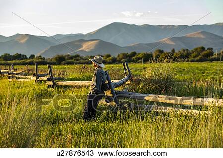 Farmer leaning on fence in Picabo, Idaho, USA View Large Photo Image Stock Image - Farmer leaning on fence in Picabo, Idaho, USA. Fotosearch
