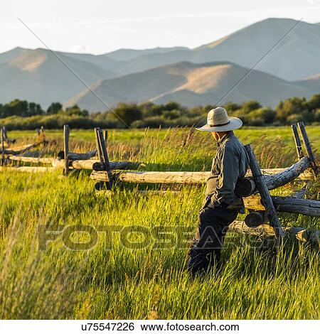 Farmer leaning on fence in Picabo, Idaho, USA View Large Photo Image Stock Photograph - Farmer leaning on fence in Picabo, Idaho, USA. Fotosearch