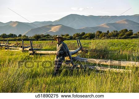 Farmer leaning on fence in Picabo, Idaho, USA View Large Photo Image Stock Photography - Farmer leaning on fence in Picabo, Idaho, USA. Fotosearch