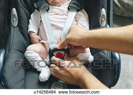 Father buckling up baby in baby cradle View Large Photo Image Picture - Father buckling up baby in baby cradle. Fotosearch