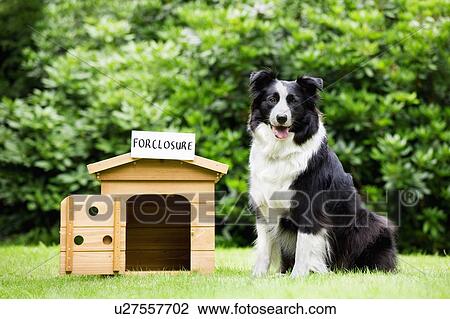 Stock Image - Foreclosure sign above the dog house. Fotosearch