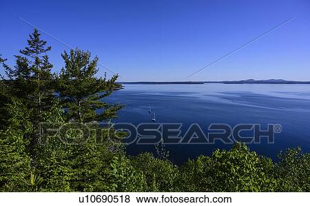 Stock Photo - Forest by sea in Acadia National Park, Maine, USA. Fotosearch
