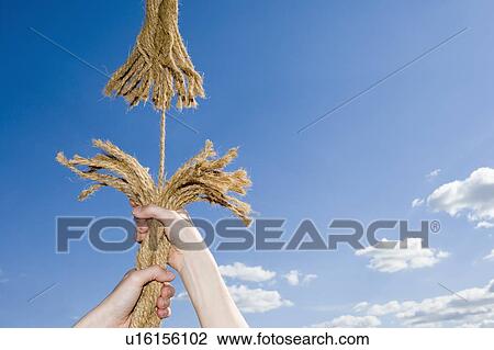 Stock Image - Fraying rope. Fotosearch
