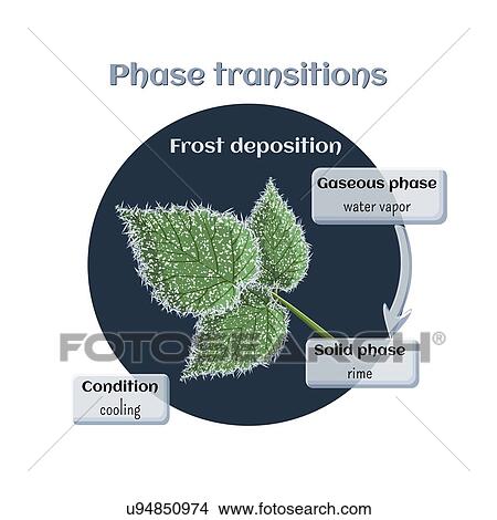 Frost deposition, illustration View Large Photo Image Picture - Frost deposition, illustration. Fotosearch